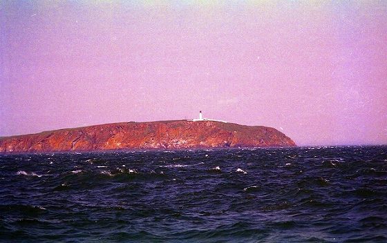 緑の少ない岬に確認しやすい真っ白の灯台
